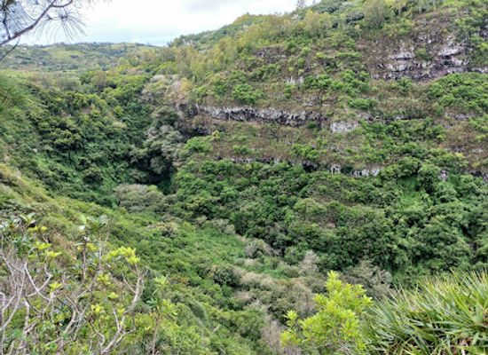 mauritius/rodrigues/attraction/cascade-victoire