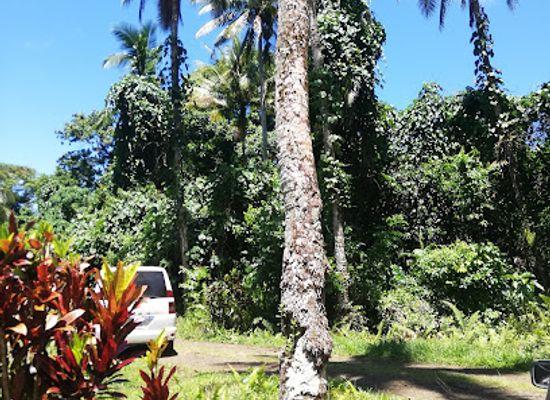 samoa/papaseea-sliding-rocks/attraction/paia-dwarfs-cave