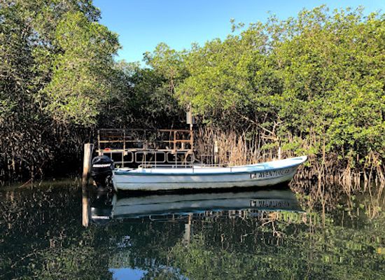 mexico/puerto-vallarta/attraction/area-natural-protegida-estero-el-salado