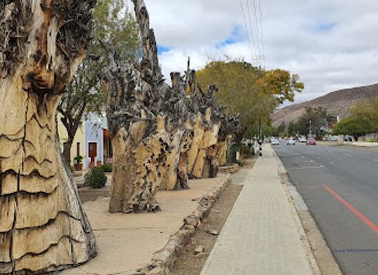 south-africa/route-62/attraction/fransie-pienaar-museum