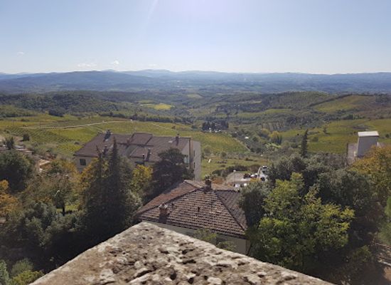 italy/chianti-classico/attraction/archaeological-museum-of-the-chianti-area