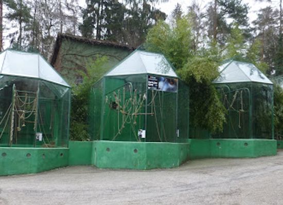 czechia/svaty-kopecek/attraction/the-pavilion-of-monkeys-pygmy-hippopotamus-and-bears-malaysian