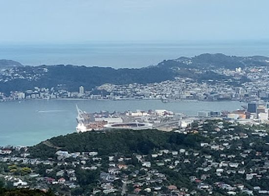 new-zealand/west-coast/attraction/otari-wilton-s-bush