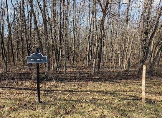 maryland/catoctin-mountain-area/attraction/west-woods