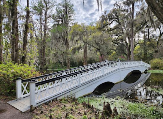 south-carolina/upstate/attraction/magnolia-plantation-and-gardens