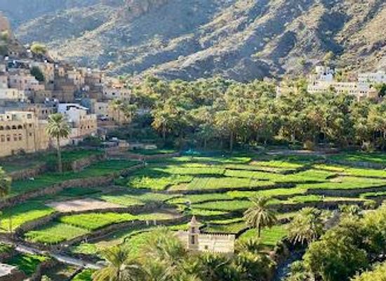 oman/muscat-governorate/attraction/oman-self-drive-tours