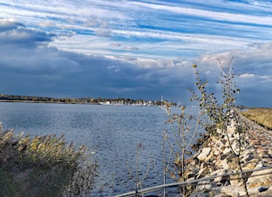 poland/zulawy/attraction/bird-reserve-ptasi-raj