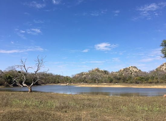 zimbabwe/manicaland/attraction/chishakwe-safaris