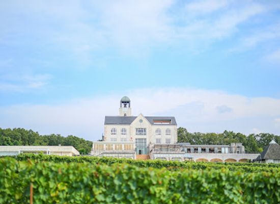 japan/izu/attraction/nakaizu-winery-chateau-t-s