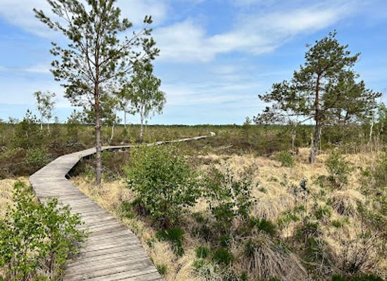 lithuania/suvalkija/attraction/aukstumala-trail