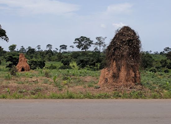 cote-d-ivoire/daloa/attraction/marahoue-national-park