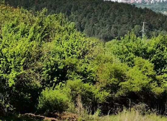 slovakia/kosice-region/attraction/vyhlad-nad-kamenicou