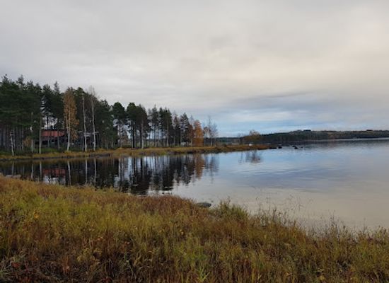 finland/lake-saimaa/attraction/parikkala-sculpture-park