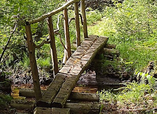 wisconsin/central-sands/attraction/ice-age-trail-plover-river-segment
