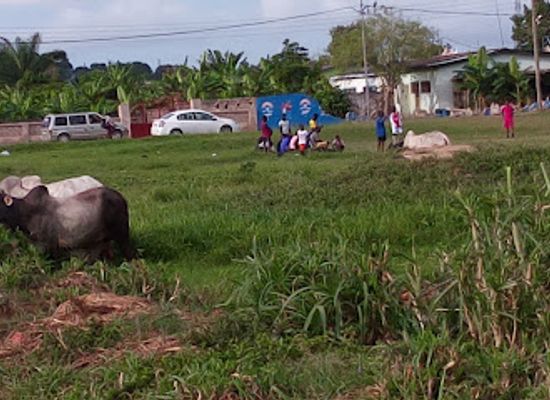 ghana/busua/attraction/c-k-mann-park