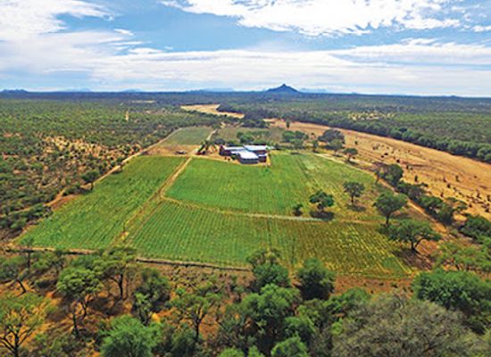 namibia/karibib/attraction/erongo-mountain-winery