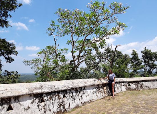 sri-lanka/southern-province/attraction/mulgirigala-raja-maha-viharaya