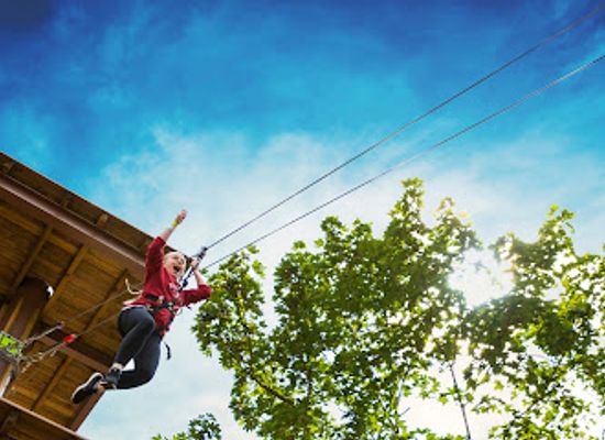 virginia/historic-triangle/attraction/go-ape-zipline-and-adventure-park
