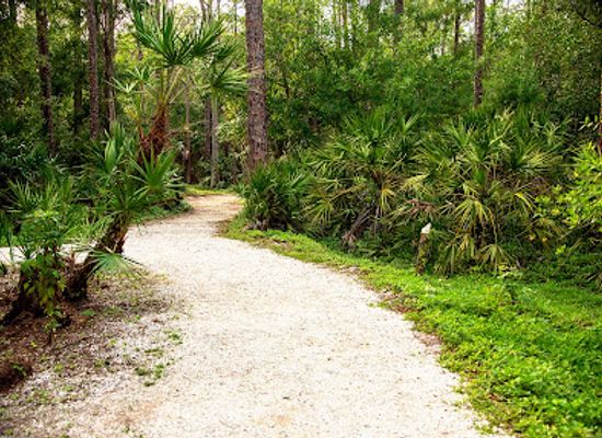 florida/fort-myers/attraction/calusa-nature-center-planetarium