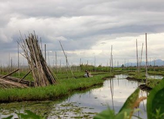 myanmar-burma/kalaw/attraction/floating-gardens-of-inle-lake