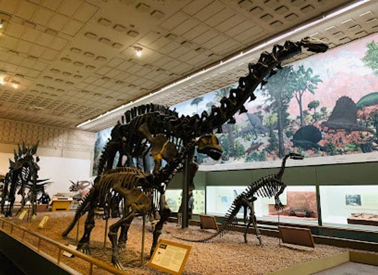 connecticut/new-haven-county/attraction/yale-peabody-museum