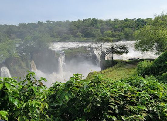 uganda/murchison-falls-national-park/attraction/murchison-falls-national-park