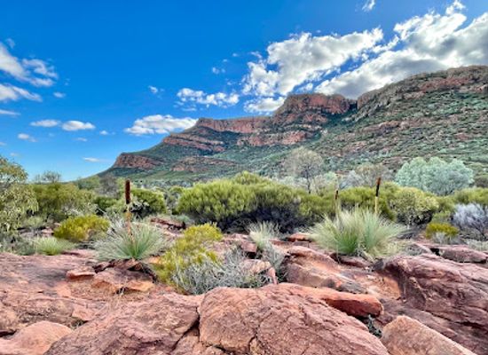 australia/flinders-ranges/attraction/arkaroo-rock