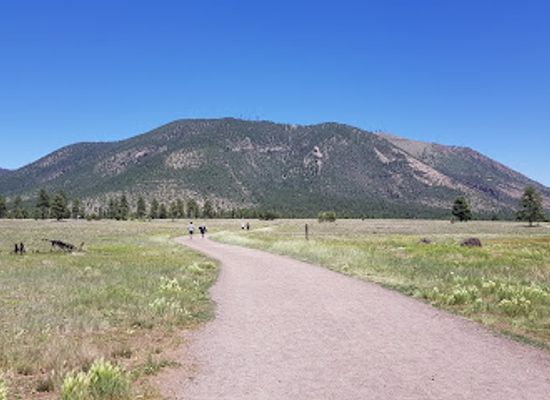 arizona/san-francisco-peaks/attraction/buffalo-park