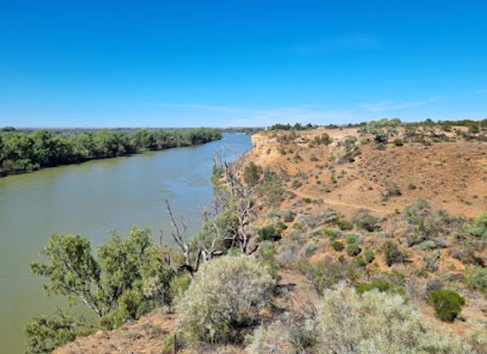 australia/riverland/attraction/wilabalangaloo-reserve