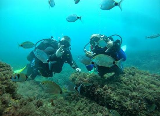 tunisia/sousse/attraction/el-kantaoui-diving-center