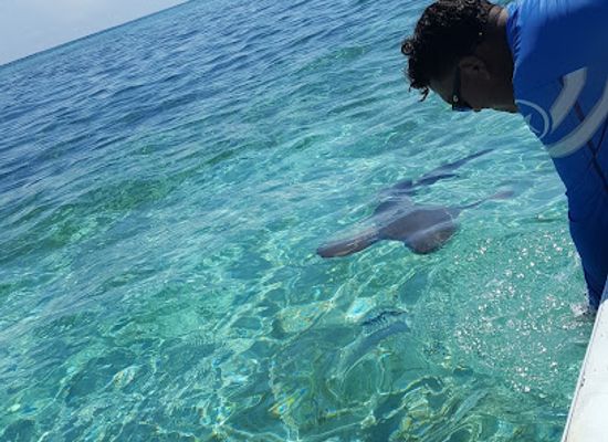 belize/southern-belize-barrier-reef/attraction/tza-ten-a-ha-awesome-adventures