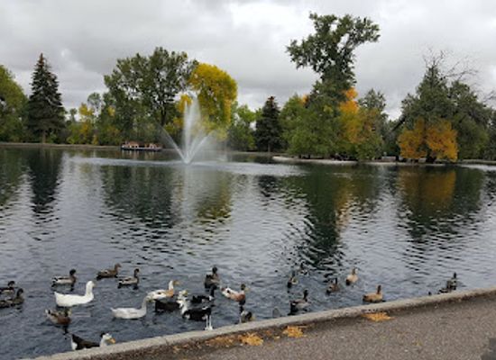 montana/great-falls/attraction/gibson-park