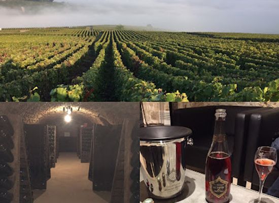 france/champagne/attraction/sparkling-tour-champagne-discovery-tour