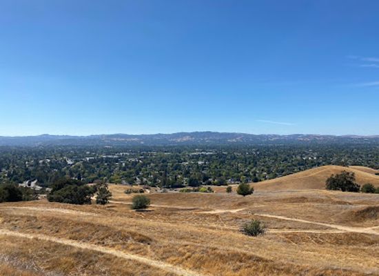 california/walnut-creek/attraction/lime-ridge-labyrinth