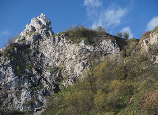 poland/holy-cross-mountains/attraction/kadzielnia-caves