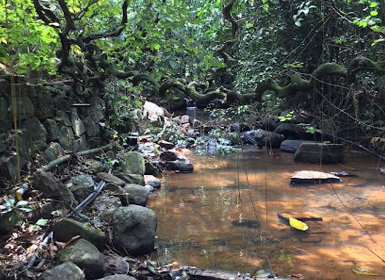 sri-lanka/gampaha-district/attraction/dehiella-waterfall