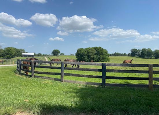 kentucky/lexington/attraction/mill-ridge-farm