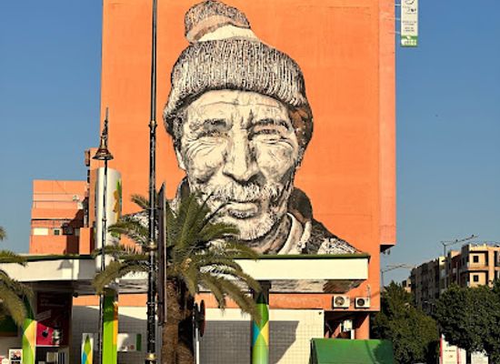 morocco/doukkala-abda/attraction/mural-by-hendrik-beikirch-tracing-morocco