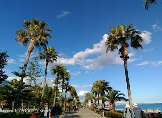 cyprus/limassol-district/attraction/molos