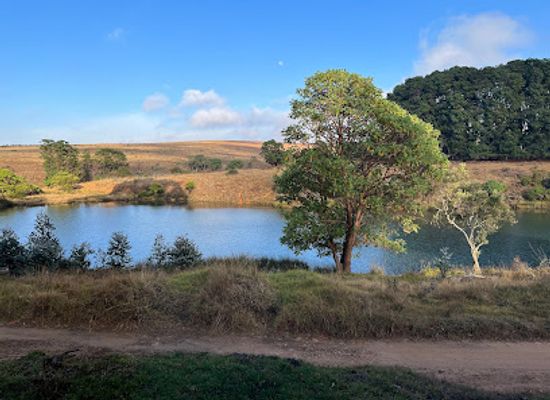 malawi/livingstonia/attraction/nyika-national-park