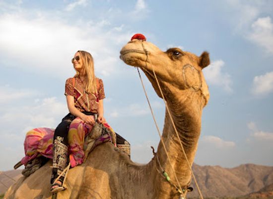 india/pushkar/attraction/bunty-camel-safari