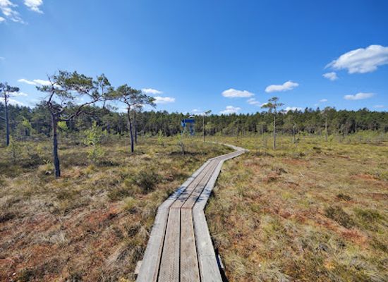 estonia/kuressaare/attraction/mullutu-loode-suurlahe-linnuvaatlusplatvorm