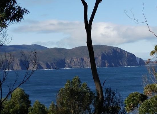 australia/great-southern/attraction/the-margate-train
