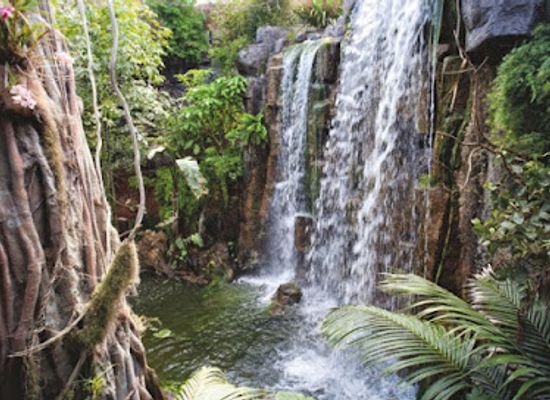 spain/mallorca/attraction/palma-aquarium
