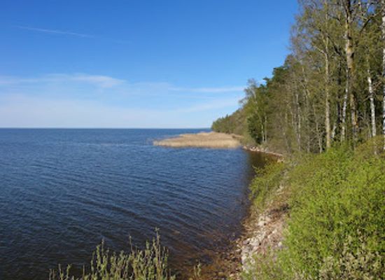 estonia/viljandimaa/attraction/lake-museum-jarvemuuseum-akva-rium