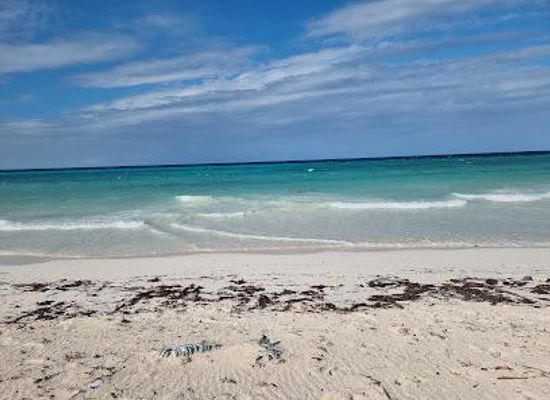 tanzania/eastern-zone/attraction/muyuni-beach