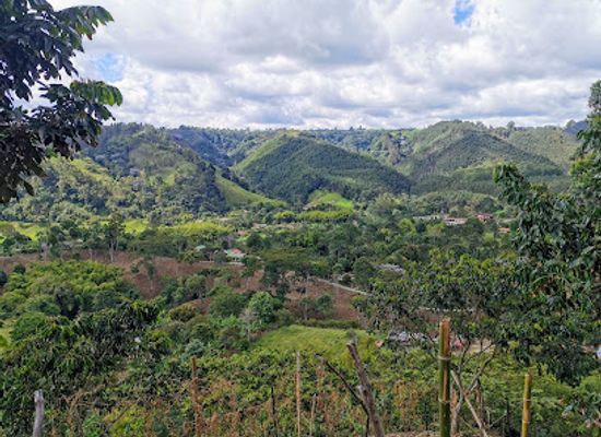 colombia/quindio-department/attraction/coffee-tour-luger