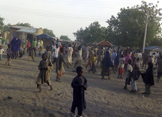 nigeria/maiduguri/attraction/magumeri-grasing-reserve