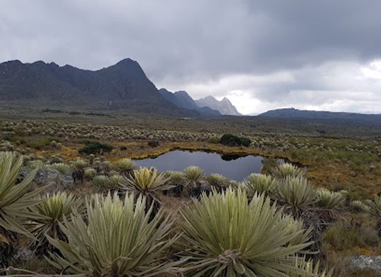 colombia/coffee-axis/attraction/walking-tour-bogota-by-the-true-colombian-experience