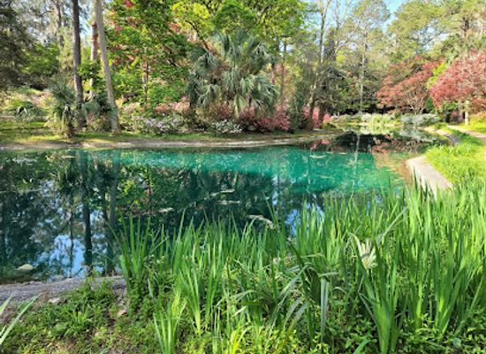 florida/tallahassee/attraction/alfred-b-maclay-gardens-state-park